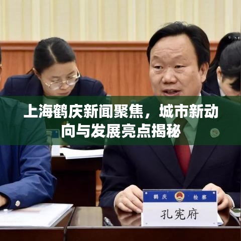 上海鹤庆新闻聚焦，城市新动向与发展亮点揭秘
