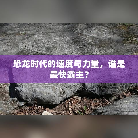 恐龙时代的速度与力量,谁是最快霸主?