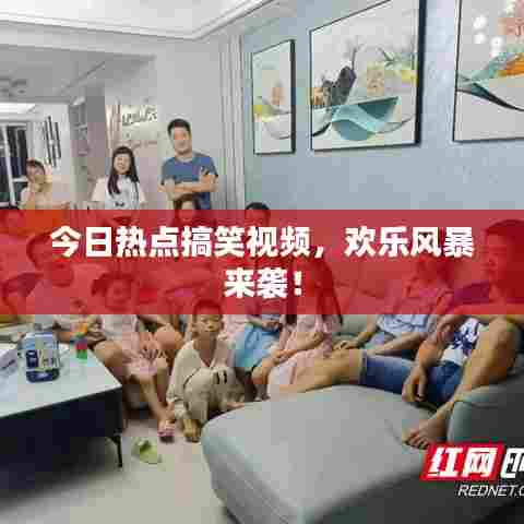 今日热点搞笑视频,欢乐风暴来袭!