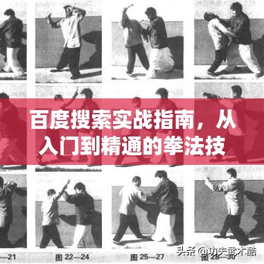 百度搜索实战指南,从入门到精通的拳法技巧与应用