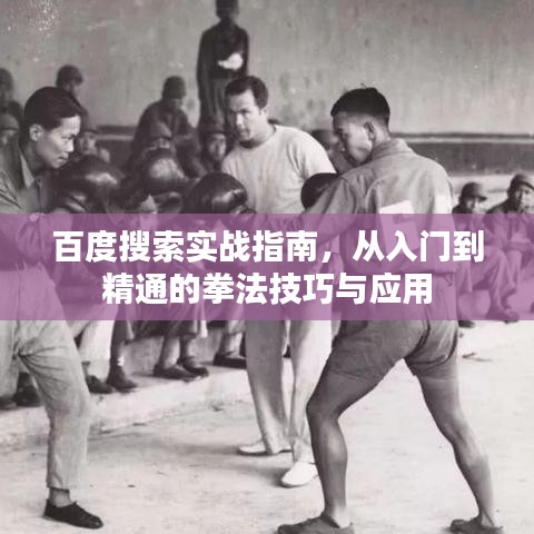 百度搜索实战指南,从入门到精通的拳法技巧与应用