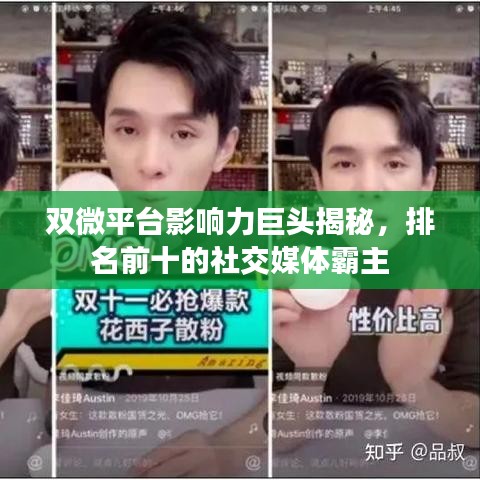 双微平台影响力巨头揭秘，排名前十的社交媒体霸主