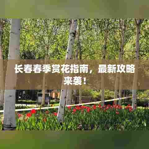 长春春季赏花指南,最新攻略来袭!