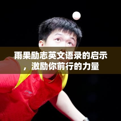 雨果励志英文语录的启示,激励你前行的力量