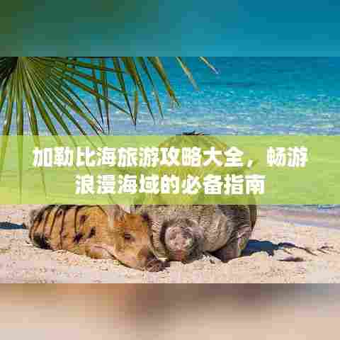 加勒比海旅游攻略大全,畅游浪漫海域的必备指南