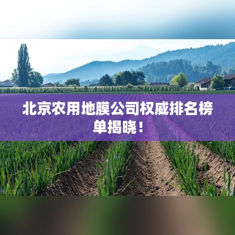 北京农用地膜公司权威排名榜单揭晓!