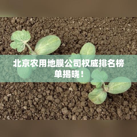 北京农用地膜公司权威排名榜单揭晓!