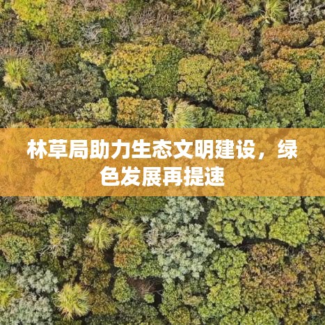 林草局助力生态文明建设,绿色发展再提速