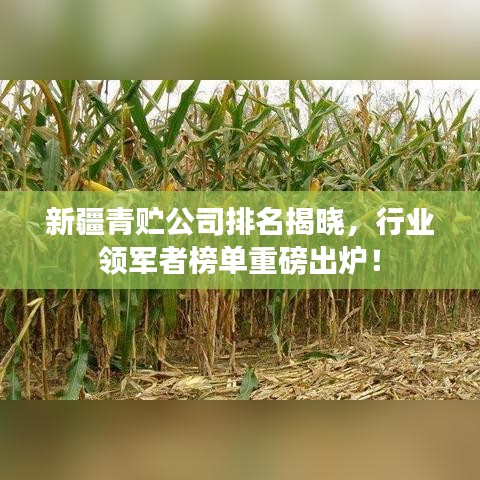 新疆青贮公司排名揭晓，行业领军者榜单重磅出炉！