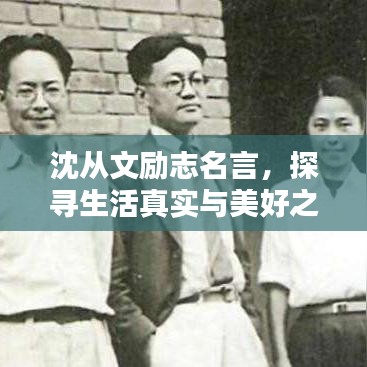 半截鸟木 第3页