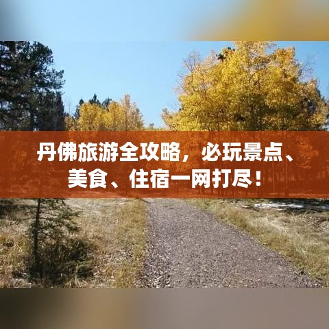 丹佛旅游全攻略，必玩景点、美食、住宿一网打尽！