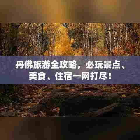 丹佛旅游全攻略,必玩景点、美食、住宿一网打尽!