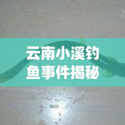云南小溪钓鱼事件揭秘，最新视频报道呈现现场真相