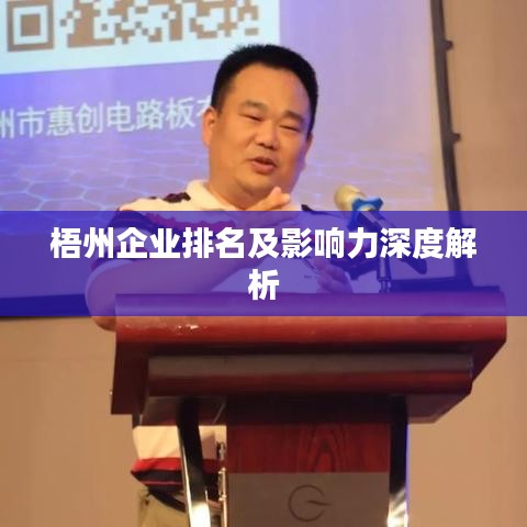 梧州企业排名及影响力深度解析