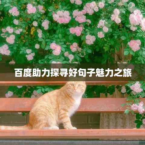 百度助力探寻好句子魅力之旅