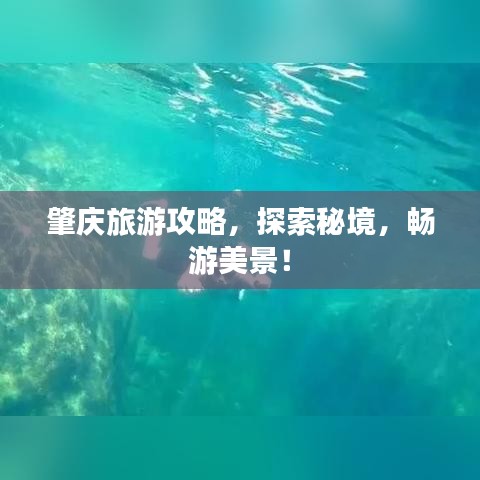 肇庆旅游攻略,探索秘境,畅游美景!