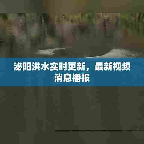 泌阳洪水实时更新,最新视频消息播报