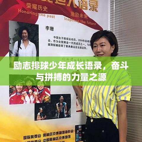 励志排球少年成长语录,奋斗与拼搏的力量之源