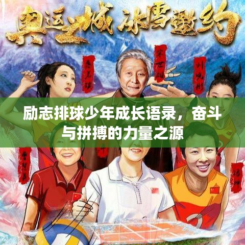 励志排球少年成长语录,奋斗与拼搏的力量之源