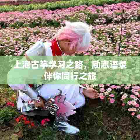 上海古筝学习之路,励志语录伴你同行之旅