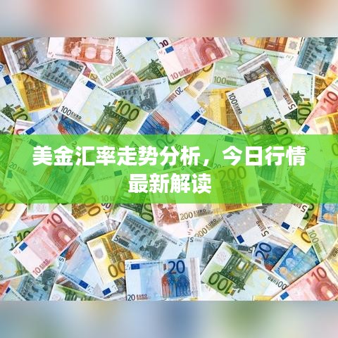 美金汇率走势分析，今日行情最新解读