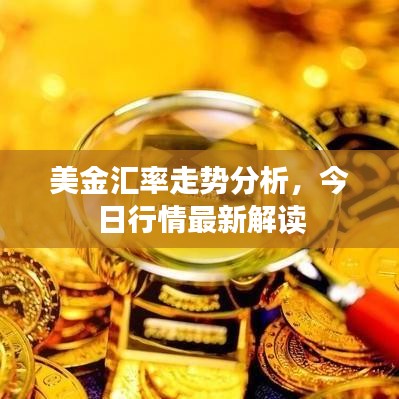 美金汇率走势分析,今日行情最新解读