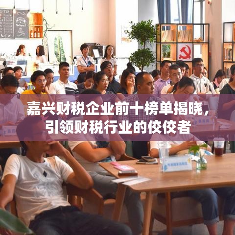 嘉兴财税企业前十榜单揭晓,引领财税行业的佼佼者