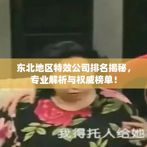 东北地区特效公司排名揭秘,专业解析与权威榜单!