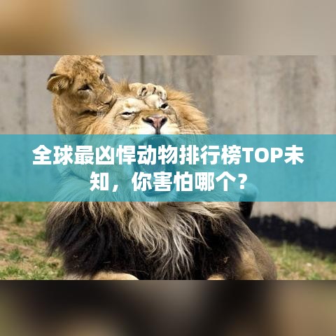 全球最凶悍动物排行榜TOP未知,你害怕哪个?