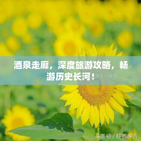 酒泉走廊,深度旅游攻略,畅游历史长河!