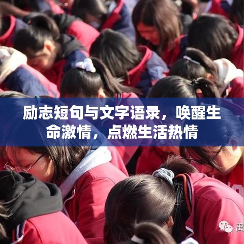 励志短句与文字语录,唤醒生命激情,点燃生活热情