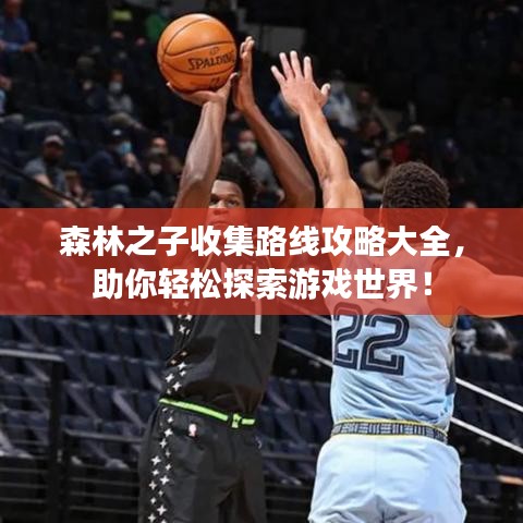 森林之子收集路线攻略大全，助你轻松探索游戏世界！