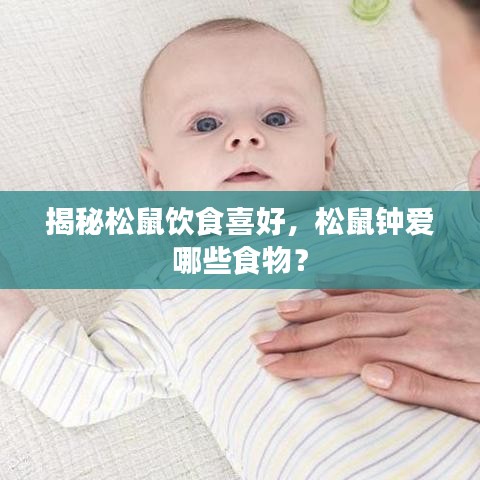 揭秘松鼠饮食喜好,松鼠钟爱哪些食物?
