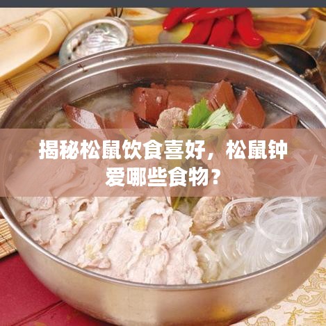 揭秘松鼠饮食喜好,松鼠钟爱哪些食物?