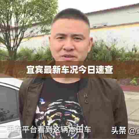 口若悬河 第5页