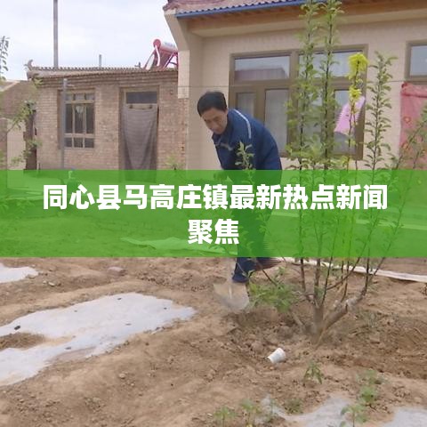 同心县马高庄镇最新热点新闻聚焦