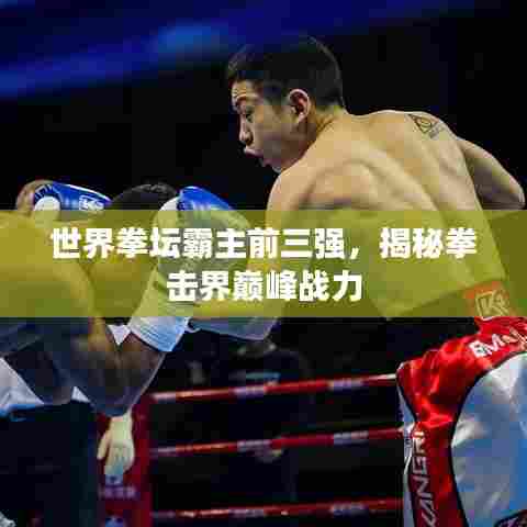 世界拳坛霸主前三强,揭秘拳击界巅峰战力
