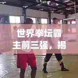 世界拳坛霸主前三强,揭秘拳击界巅峰战力