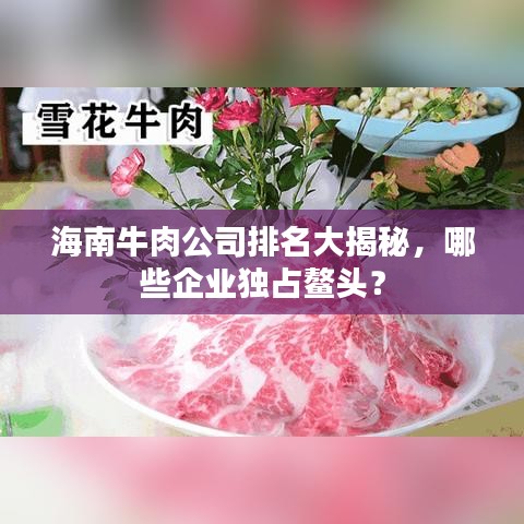 海南牛肉公司排名大揭秘,哪些企业独占鳌头?