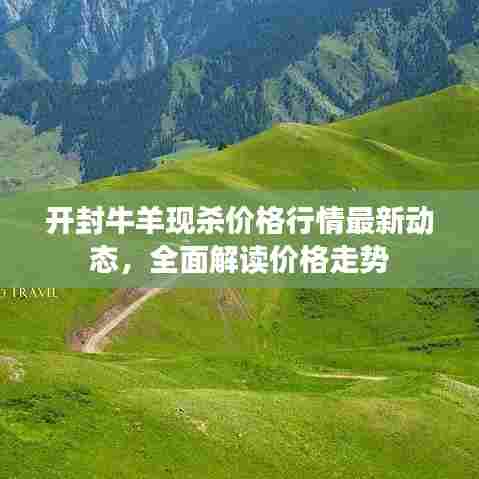 开封牛羊现杀价格行情最新动态,全面解读价格走势