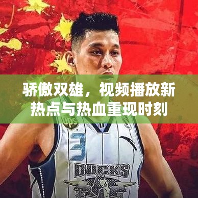 骄傲双雄,视频播放新热点与热血重现时刻