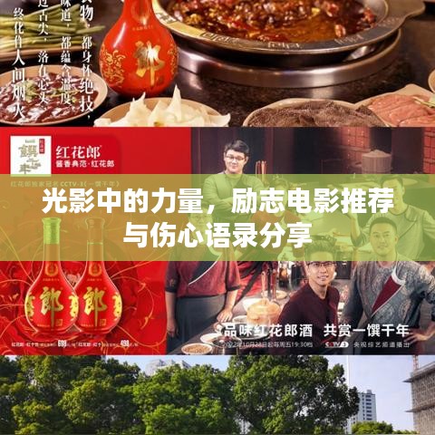 光影中的力量,励志电影推荐与伤心语录分享