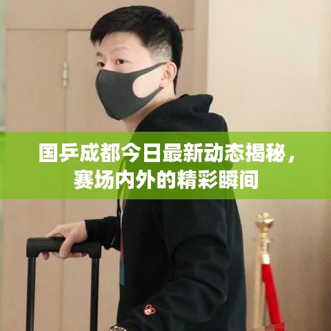 国乒成都今日最新动态揭秘,赛场内外的精彩瞬间