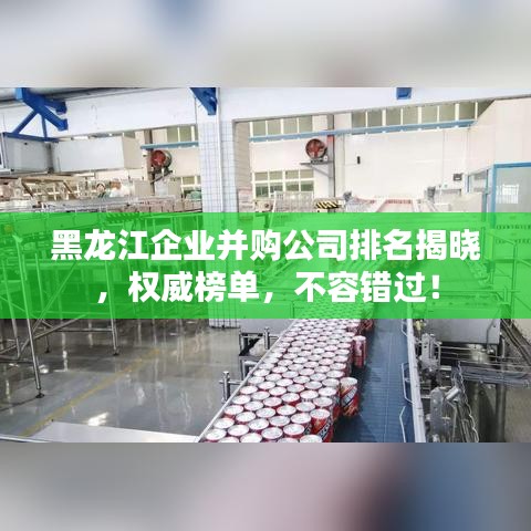 黑龙江企业并购公司排名揭晓,权威榜单,不容错过!