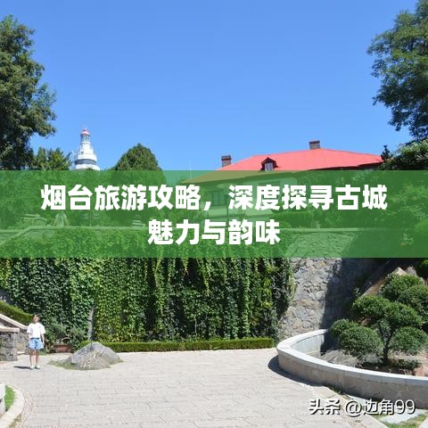 烟台旅游攻略，深度探寻古城魅力与韵味