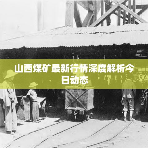 山西煤矿最新行情深度解析今日动态