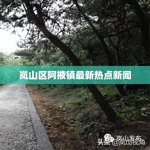 岚山区阿掖镇最新热点新闻