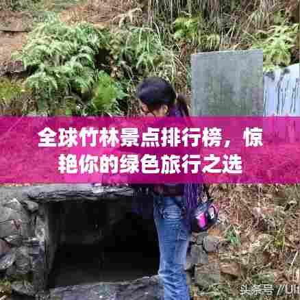 全球竹林景点排行榜,惊艳你的绿色旅行之选