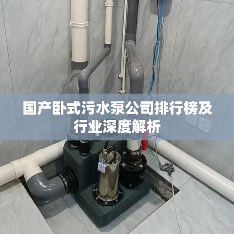 国产卧式污水泵公司排行榜及行业深度解析