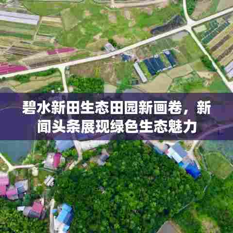 碧水新田生态田园新画卷,新闻头条展现绿色生态魅力